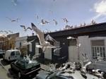 Foto+inquietanti+su+Google+Street+View