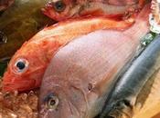Slow food: attenti pesce chimico