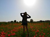 Poppies