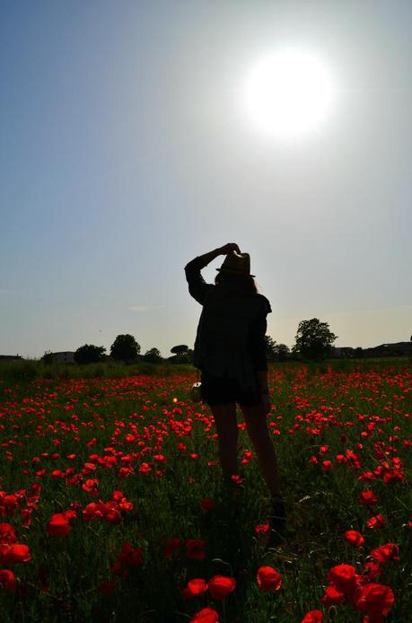 POPPIES