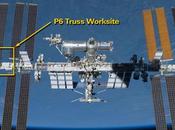 Stazione Spaziale Internazionale: fuga ammoniaca circuito refrigerante. Programmata d'emergenza