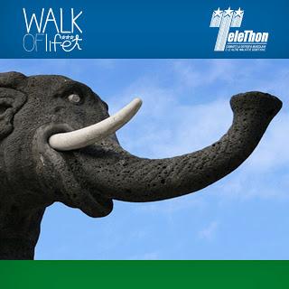 Walk of the Life per Telethon arriva a  Catania il 19 Maggio! Tuuti in piazza a correre