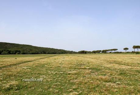 Parco naturale della Maremma