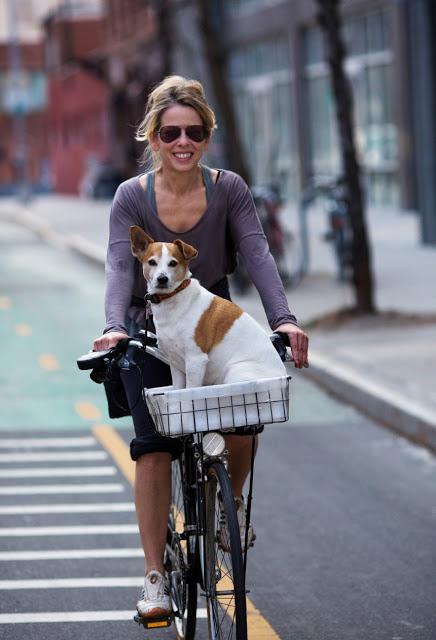 girls (with dogs) on bikes!