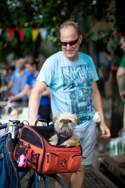 girls (with dogs) on bikes!