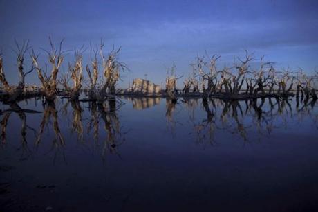 AP Photo/Natacha Pisarenko