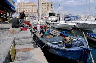 Cozzecari imprenditori: un’eccellenza del mare nostrum