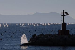 Cozzecari imprenditori: un’eccellenza del mare nostrum