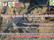 "Dove osano Salamandrine" viaggio fantastico-ambientale alla scoperta percorsi segreti dell’ANPIL