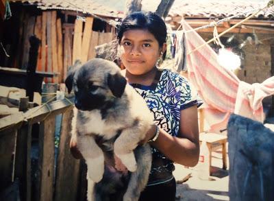 Chiapas: un viaggio semiserio/4. Un visitatore inatteso