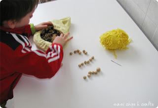 Buchi, Bruchi e un libro tutto da scoprire