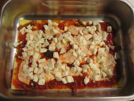 e adagiarle nella teglia. Completato il primo strato di lasagne, versare 2-3 mestoli di salsa, qualche cucchiaiata di ricotta, la mozzarella tagliata a cubetti e spolverare con il parmigiano.