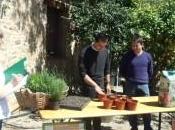 L’azienda Turco Silvestro testa “l’Ortofacile” team building vivaio Coldiretti