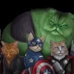 Avengers Cat