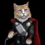 Avengers Cat Thor