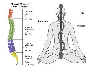 Hatha Yoga: MAHAMUDRA – il grande sigillo