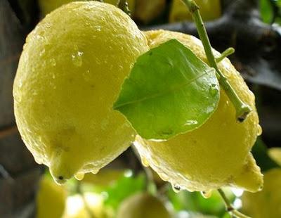 Polenghi Las: il gusto dei migliori limoni di Sicilia!