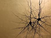 Neuroni