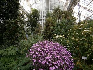 Botaniscer Garten Berlin