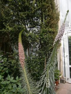 Botaniscer Garten Berlin