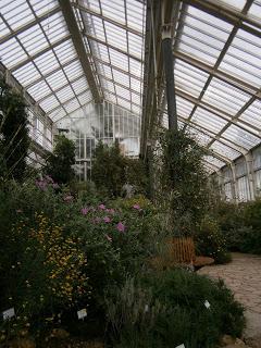 Botaniscer Garten Berlin