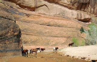 Canyon Boy canta per noi