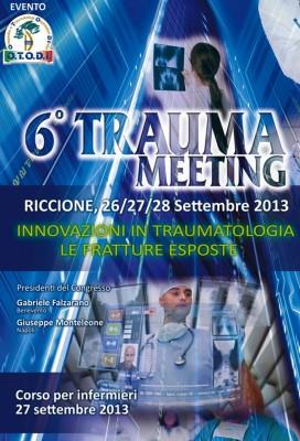 Trauma Meeting 2013