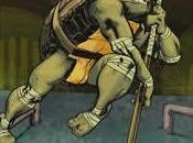 Tattarughe ninja alla risposta (Errata corrige)