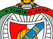 capitano Luisão: “Possiamo scrivere storia”