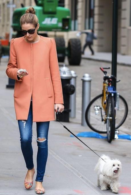 Apricot is the new color trend