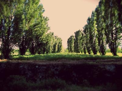 Weekend romantico a Pinerolo B&B; Weekend romantico a Pinerolo B&B;