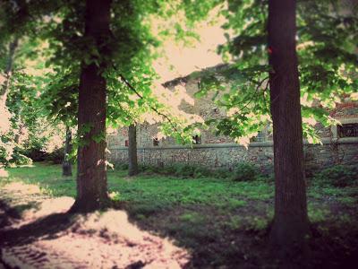 Weekend romantico a Pinerolo B&B; Weekend romantico a Pinerolo B&B;