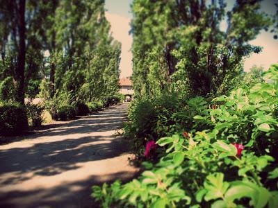 Weekend romantico a Pinerolo B&B; Weekend romantico a Pinerolo B&B;