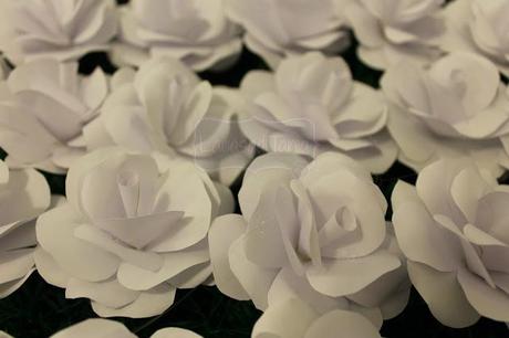 paper rose