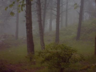 SUI MONTI PRENESTINI, TRA PIOGGIA VENTO E NEBBIA.