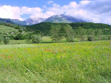 L'alba dell'uomo nella Valle Giumentina