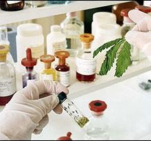 La marijuana per controllare il peso e  combattere il diabete