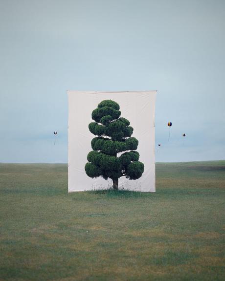 Myoung-ho Lee, Tree 2, 2007LOW