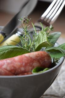 PENNE LISCE con SALSICCIA ed ERBE AROMATICHE