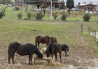 Sono aperte le iscrizioni per i nuovi corsi dell’IHP