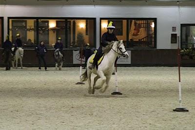 finali regionali pony games