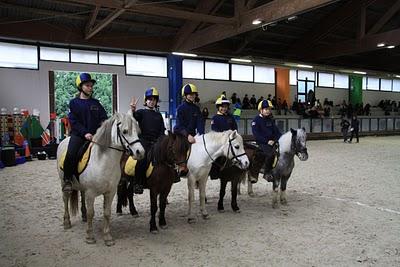 finali regionali pony games