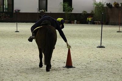 finali regionali pony games