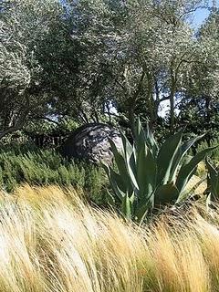 Il Giardino dei contrasti