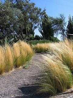 Il Giardino dei contrasti