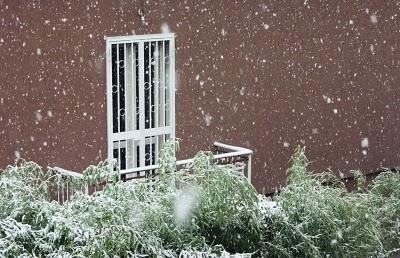 28/11/10 Prima neve della stagione