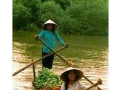 Vietnam virtuale
