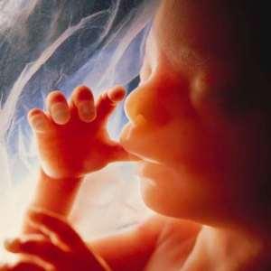 Il DNA del nascituro nel sangue della mamma