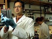 rene artificiale Shuvo