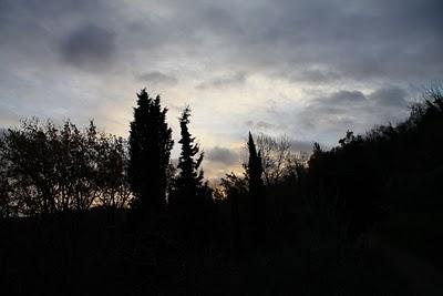 il mio blog compie un anno